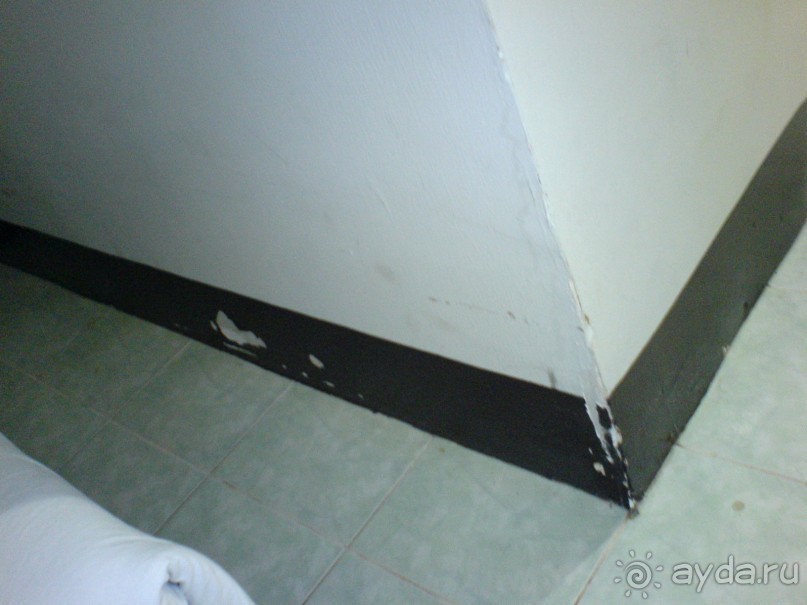 фото Lotos Hotel