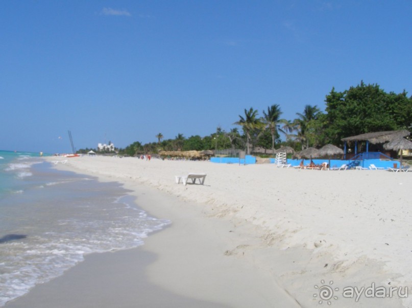 фото Starfish Cuatro Palmas