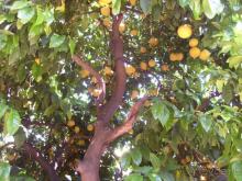 Просто супер!!!!!!!!!!!!!!!!!!!!!!!!