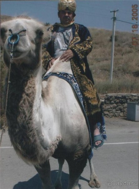 Ступино - Крым 2007-2008