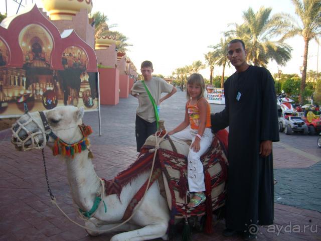 фото Pickalbatros Aqua Blu Sharm El Sheikh