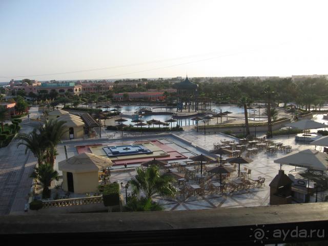 Paradise Golden 5