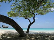 Курамати... Месты сбываются...