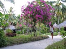 Курамати... Месты сбываются...