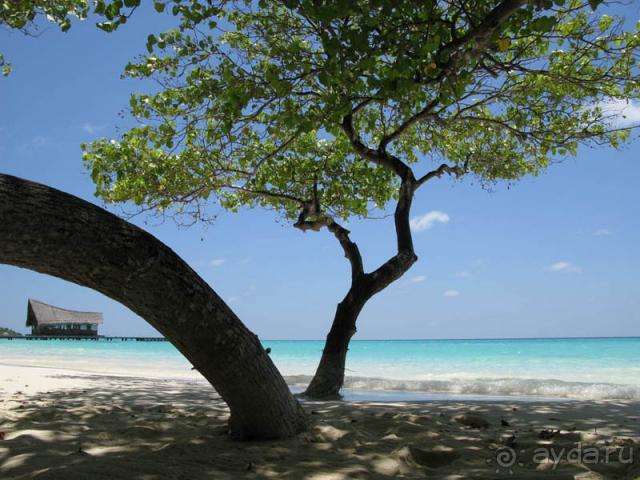 Курамати... Месты сбываются...