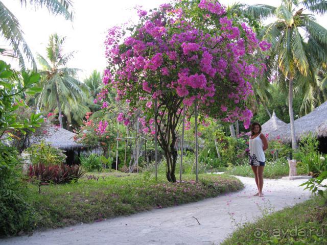 Курамати... Месты сбываются...