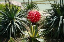 фото Aqua Fantasy Aquapark Hotel & Spa