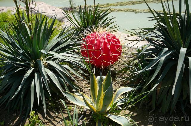 Мой любимый отель. Оооочень понравилось, хочу еще!