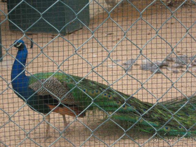 Нам с женой очень понравилось. Релакс полный.