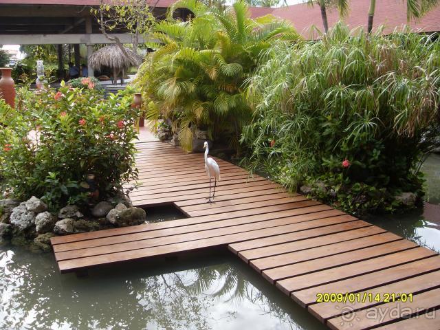 фото Bavaro Princess