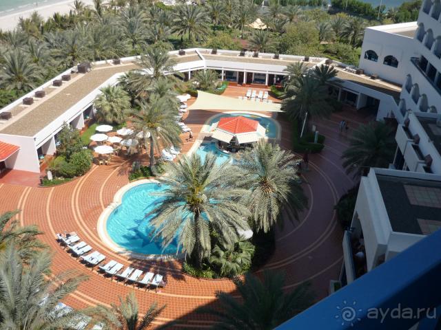 Маленький оазис