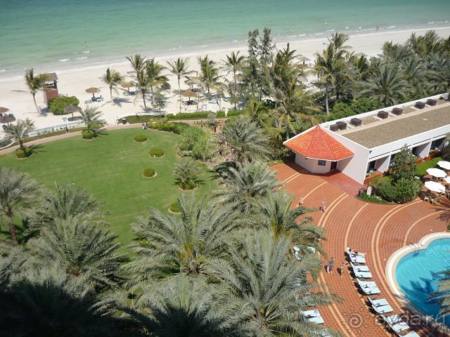 маленький оазис