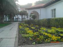 Территория.