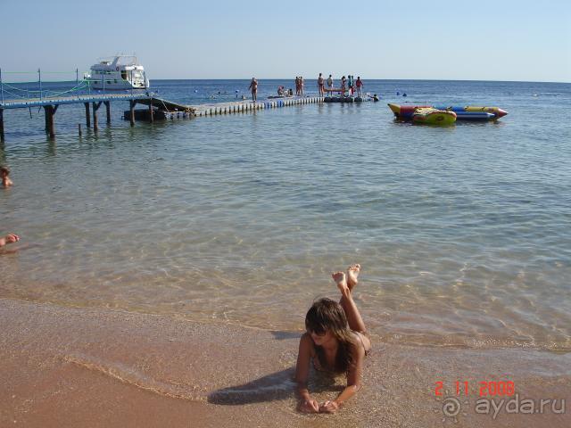 Самый красивый риф Красного моря!