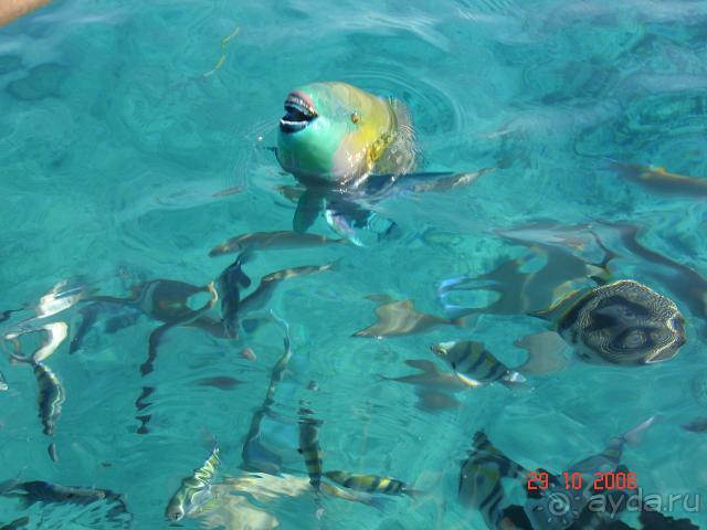 фото Bomo Chrousso Village Hotel