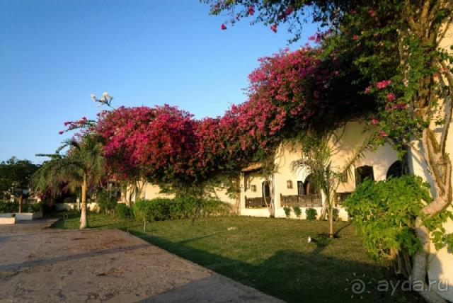 фото Movenpick Resort Sharm el Sheikh