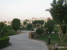 Посредственная 4-ка с огромной лысой и неудобной территорией