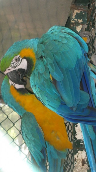 Средненькая пятерочка