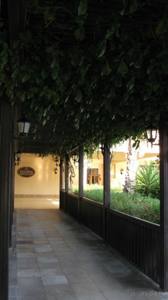 Разочаровались в уровне отеля