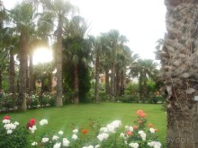 фото Adora Resort Hotel