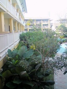 Это всё надо видеть своими глазами!