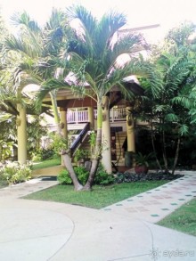 Парк Патонговского периода