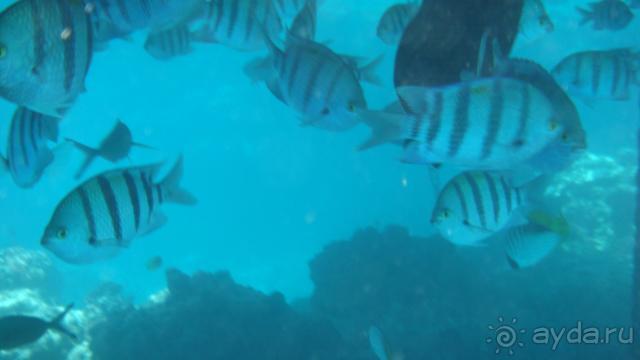 ОТЕЛЬ СУПЕР!!! Русские велком!!!!