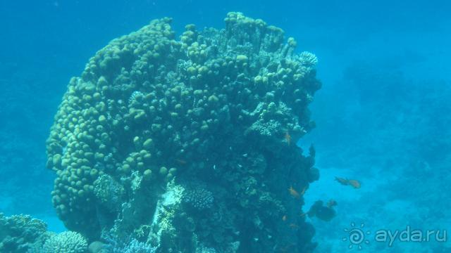 ОТЕЛЬ СУПЕР!!! Русские велком!!!!