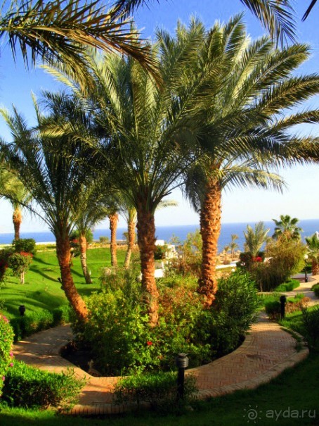 фото Амфибия