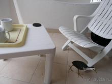 Отдых на райском острове