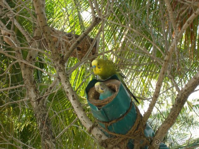 фото Thulhagiri Island Resort