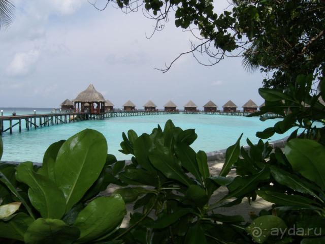 Отдых на райском острове