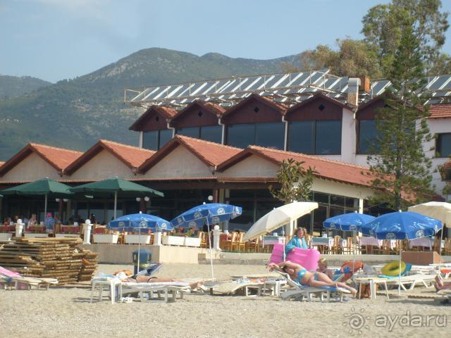 фото Banana Hotel