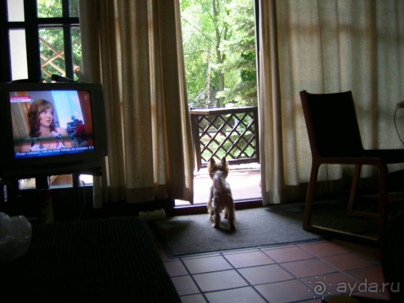 фото Тихань