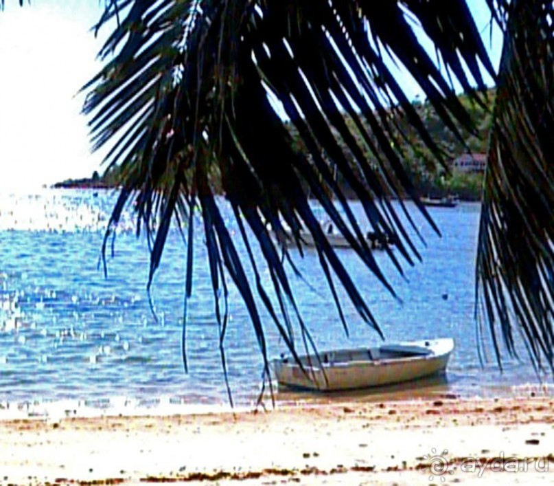 Кто куда, а мы на Сейшеллы.