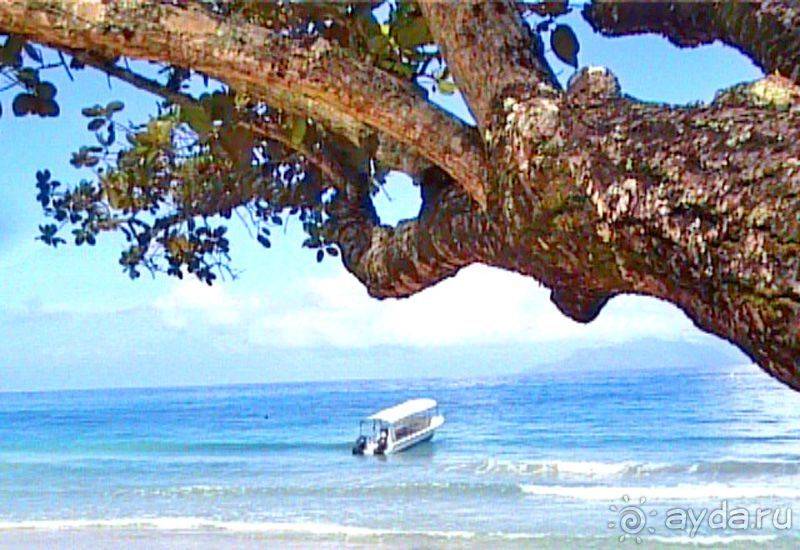 Кто куда, а мы на Сейшеллы.