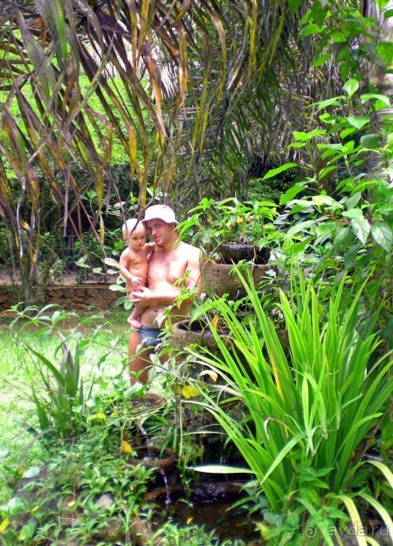 Кто куда, а мы на Сейшеллы.