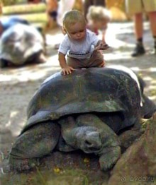 Кто куда, а мы на Сейшеллы.