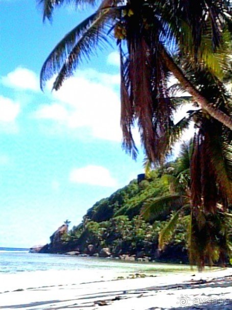 Кто куда, а мы на Сейшеллы.