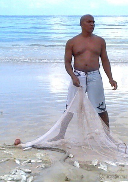 Кто куда, а мы на Сейшеллы.