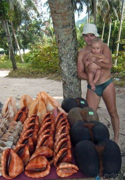 Кто куда, а мы на Сейшеллы.