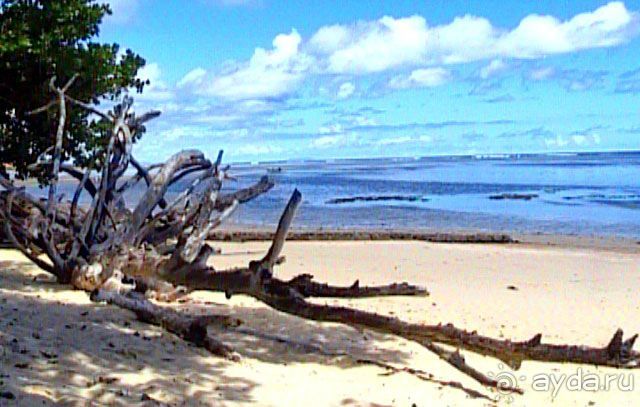 Кто куда, а мы на Сейшеллы.