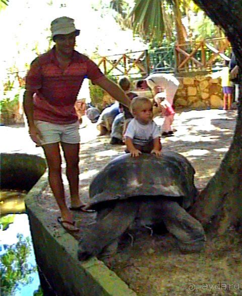 Кто куда, а мы на Сейшеллы.