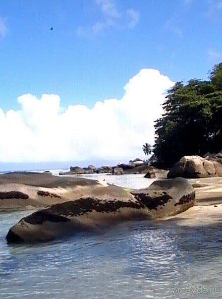 Кто куда, а мы на Сейшеллы.