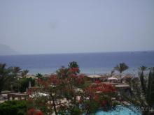 фото Coral Sea Sensatori Resort