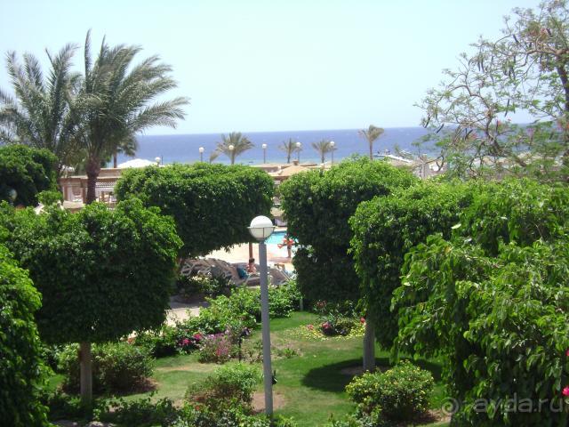 фото Coral Sea Sensatori Resort