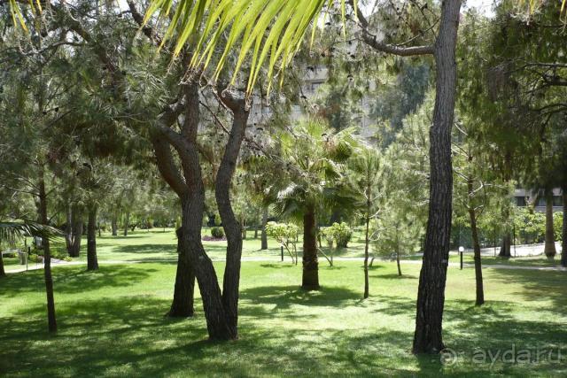 Хороший отель, отличный отдых!