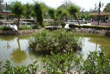 Хороший отель, отличный отдых!