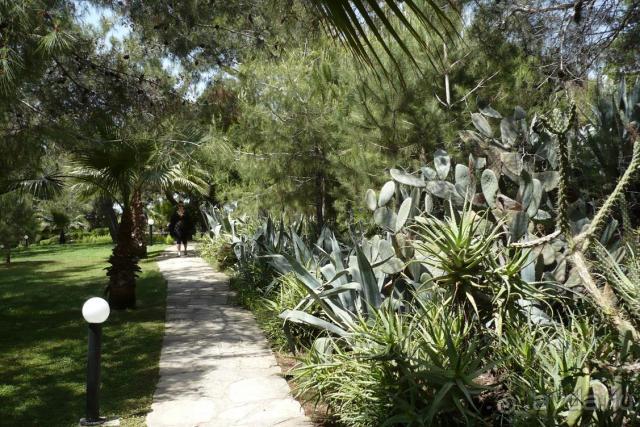 Хороший отель, отличный отдых!