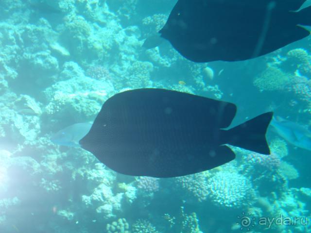 ХОРОШИЙ ОТЕЛЬ СТОИТ ПОЕХАТЬ